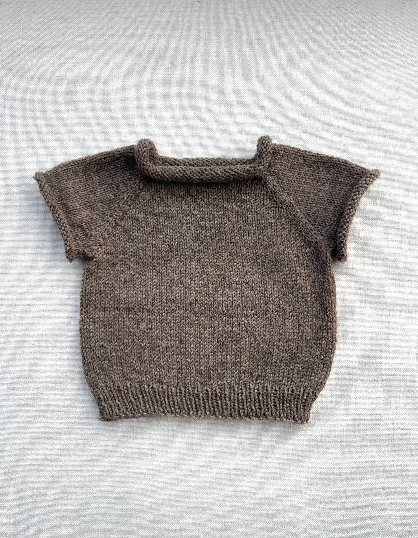 Penny T-shirt Jumper - Falcon