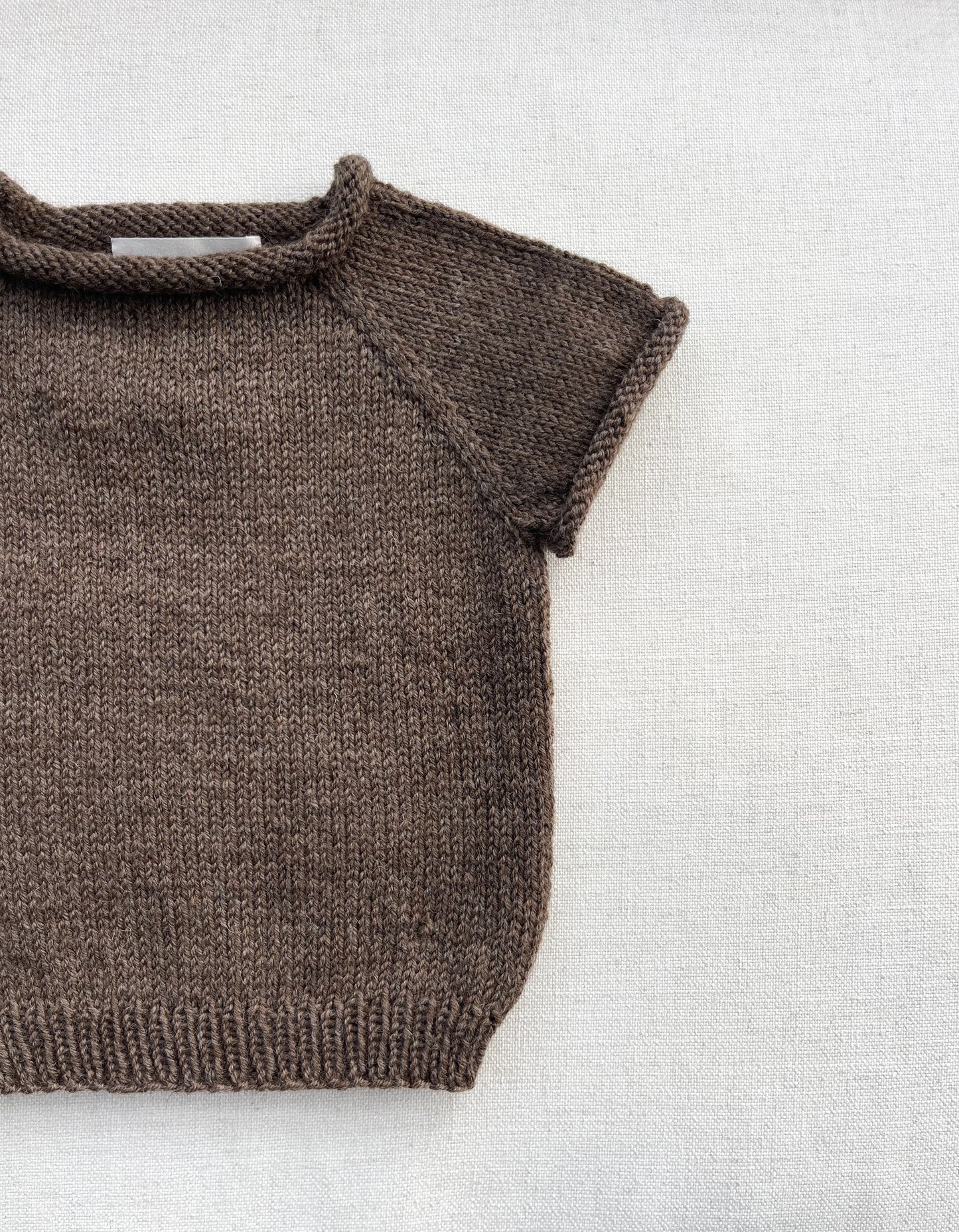 Penny T-shirt Jumper - Falcon