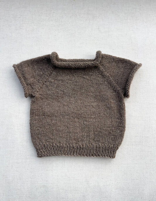 Penny T-shirt Jumper - Falcon